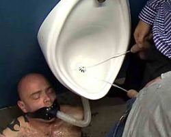 Abused guy became a human urinal by these gays