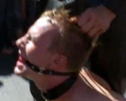 Gay parade with lot of BDSM abuse in public