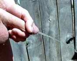 Horny teen showing his cock just to piss while in the barn